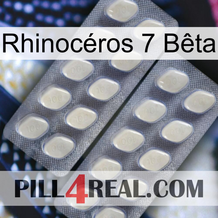 Rhinocéros 7 Bêta 07